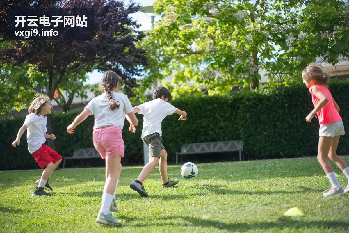 开云电子网站智能硬件与终端设备信息指南
